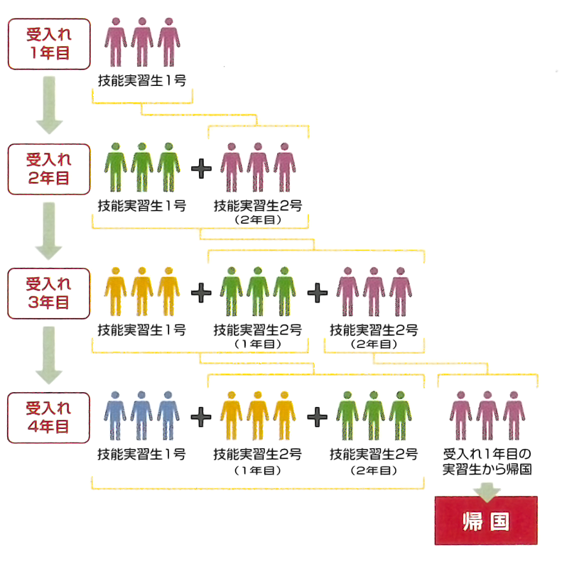 技能実習生滞在の流れフロー紹介